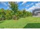 Lush backyard featuring green lawn, mature trees, and a pool enclosure, providing a perfect outdoor retreat at 2165 Hollow Forest Ct, Wesley Chapel, FL 33543