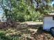 A wide view of the backyard foliage at 9355 Pinero St, Spring Hill, FL 34608