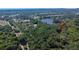A scenic aerial view of the property surrounded by lush greenery and a tranquil pond at 9724 Hermit Hollow Ln, Gibsonton, FL 33534