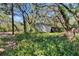 View of a shed surrounded by greenery at 9724 Hermit Hollow Ln, Gibsonton, FL 33534