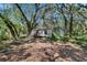 Exterior view of the house in the woods, showing a lot of surrounding trees at 9724 Hermit Hollow Ln, Gibsonton, FL 33534