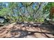 Exterior shot of the large yard with various equipment in the background at 9724 Hermit Hollow Ln, Gibsonton, FL 33534