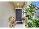 Charming front porch with stylish decor and a welcoming entrance, enhanced by lush greenery at 10936 Rainbow Pyrite Dr, Wimauma, FL 33598