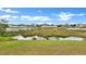 Scenic pond view surrounded by marsh grasses and neighborhood homes, offering a peaceful setting at 10936 Rainbow Pyrite Dr, Wimauma, FL 33598