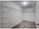 Spacious walk-in closet featuring wall to wall shelving and neutral carpeting ready for storage and organization at 10936 Rainbow Pyrite Dr, Wimauma, FL 33598