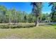 Scenic view of a pond covered in lily pads, bordered by lush trees, next to the house at 1120 Country Ln, Lutz, FL 33558