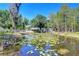 Beautiful pond with water lilies reflecting the sky at 1120 Country Ln, Lutz, FL 33558