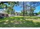 Expansive green backyard with mature trees provides a private and serene outdoor space at 1120 Country Ln, Lutz, FL 33558