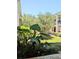 View of the courtyard featuring lush greenery, trees, and multi-story apartment buildings in the background at 120 S Church Ave # 207, Tampa, FL 33609
