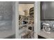 Walk-in pantry offering ample storage space with well-organized shelving at 12123 Ledbury Commons Dr, Gibsonton, FL 33534