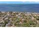 Panoramic aerial view of the property, nestled among trees, with a view of the beautiful bay at 187 Sage Cir, Crystal Beach, FL 34681