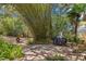 Private backyard with patio, grill, and lush landscaping at 187 Sage Cir, Crystal Beach, FL 34681