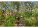 Backyard stream surrounded by a variety of ferns and tropical landscaping at 187 Sage Cir, Crystal Beach, FL 34681