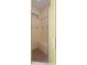 Tiled shower boasts a built-in bench and a window for plenty of natural light at 187 Sage Cir, Crystal Beach, FL 34681