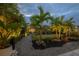 Beautifully landscaped backyard with tropical palms, stone pathway, and a cozy shaded seating area at 19554 Roseate Dr, Lutz, FL 33558