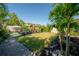 Spacious backyard with a playground, lush lawn, mature trees, and lounge area, perfect for outdoor activities at 19554 Roseate Dr, Lutz, FL 33558