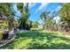 Lush backyard with manicured lawn and diverse landscaping, creating a private oasis at 2016 Douglas Ave, Clearwater, FL 33755
