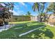Expansive backyard features a well-maintained lawn, perfect for recreation and relaxation at 2016 Douglas Ave, Clearwater, FL 33755