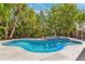 Sparkling pool and spa with lush tropical landscaping in the backyard at 294 Kentucky Ave, Crystal Beach, FL 34681