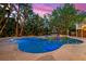Stunning backyard pool with a built-in hot tub and lush landscaping, perfect for outdoor entertaining at 294 Kentucky Ave, Crystal Beach, FL 34681