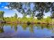 Beautiful water view showcasing the tranquil pond with lush greenery surrounding the banks at 29737 Fog Hollow Dr, Wesley Chapel, FL 33543