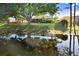 Beautiful water view showcasing pond, lush greenery, and the reflection of trees at 29737 Fog Hollow Dr, Wesley Chapel, FL 33543