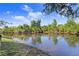 Picturesque view of a serene pond with reflective waters and natural landscaping at 29737 Fog Hollow Dr, Wesley Chapel, FL 33543