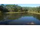 Scenic view of a pond surrounded by lush green trees and a clear blue sky at 5509 Cumberland Star Ct, Lutz, FL 33558