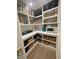 Well-organized walk-in pantry with ample shelving and storage for all your kitchen essentials at 6337 Cocoa Ln, Apollo Beach, FL 33572