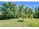 Grassy backyard featuring mature trees beyond the lawn at 9211 Everwood Ct, Tampa, FL 33647