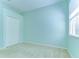 Bright bedroom featuring a closet, carpet and large window for lots of natural light at 9211 Everwood Ct, Tampa, FL 33647