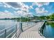 Community dock on the lake with railing, great for walking, fishing, and enjoying the views at 10314 Lake Carroll Way, Tampa, FL 33618