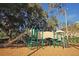 Community playground offers a fun, safe space for children to play with slides, ladders, and overhead bars at 10314 Lake Carroll Way, Tampa, FL 33618
