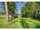 Expansive backyard featuring mature trees and lush green grass, perfect for relaxing or entertaining at 1236 Abbey Crescent Ln, Clearwater, FL 33759