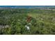 Wooded acreage featuring hidden homes for a private setting at 16420 Iola Woods Trl, Dade City, FL 33523