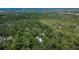 Wooded acreage featuring hidden homes for a private setting at 16420 Iola Woods Trl, Dade City, FL 33523