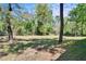 Expansive backyard featuring lush greenery and mature trees, bordered by a charming wooden fence at 16420 Iola Woods Trl, Dade City, FL 33523