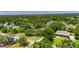 Scenic aerial view showcasing the home's treed lot in a peaceful, residential neighborhood at 1806 Chickasaw Trl, Valrico, FL 33596