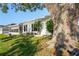 Exterior view showcasing home's well-kept yard and mature trees, adding natural beauty at 200 Portree Dr, Dunedin, FL 34698