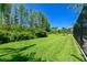 Well-maintained lawn in a spacious backyard, offering a serene and private setting at 21794 Pristine Lake Blvd, Land O Lakes, FL 34637