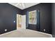 Bedroom with dark walls, ceiling fan, carpeted floor, and natural light at 27054 Fordham Dr, Wesley Chapel, FL 33543
