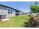 A spacious backyard with lush green grass and a screened-in lanai for outdoor enjoyment at 31966 Asbury Ave, Wesley Chapel, FL 33545
