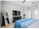 Well-appointed bedroom with an accent wall, decorative plant, and plenty of storage at 31966 Asbury Ave, Wesley Chapel, FL 33545