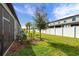 Spacious backyard featuring lush green grass, a white fence, and young palm trees at 36519 Garden Wall Way, Zephyrhills, FL 33541