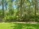 Lush backyard featuring green grass and dense trees, offering privacy and natural beauty at 36750 Us 19 N # 3-124, Palm Harbor, FL 34684
