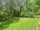 Picturesque backyard featuring vibrant green grass and mature trees, creating a private outdoor retreat at 36750 Us 19 N # 3-124, Palm Harbor, FL 34684