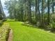 Grassy area between the units and the forested area at 36750 Us 19 N # 3-124, Palm Harbor, FL 34684