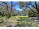 Expansive front yard featuring majestic trees and a storage shed, creating a private and welcoming outdoor space at 4041 Lane Rd, Zephyrhills, FL 33541