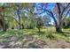 Scenic front yard with mature trees and blooming plants, highlighting the property's natural beauty and charm at 4041 Lane Rd, Zephyrhills, FL 33541
