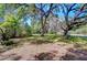 Lush front yard with mature trees providing shade and a serene setting, enhancing the home's curb appeal at 4041 Lane Rd, Zephyrhills, FL 33541